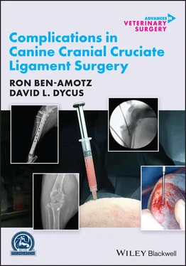 Ron Ben-Amotz Complications in Canine Cranial Cruciate Ligament Surgery обложка книги