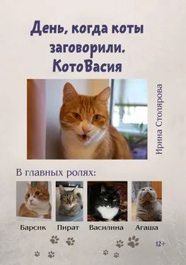 Ирина Столярова День, когда коты заговорили. КотоВасия обложка книги