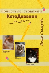 Ирина Столярова - Полосатые страницы. КотоДневник