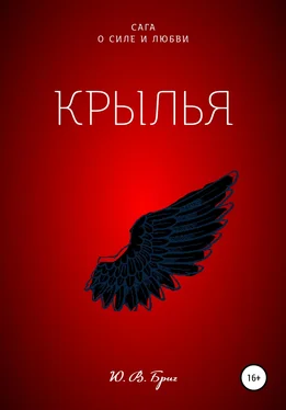 Ю Бриг Сага о силе и любви: Крылья обложка книги