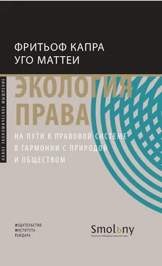 Фритьоф Капра Экология права. На пути к правовой системе в гармонии с природой и обществом обложка книги