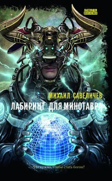 Михаил Савеличев Лабиринт для Минотавра обложка книги