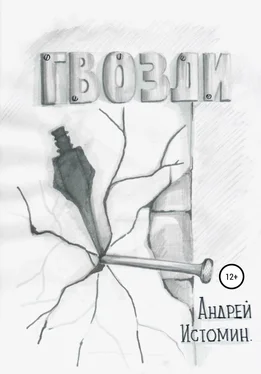 Андрей Истомин Гвозди обложка книги