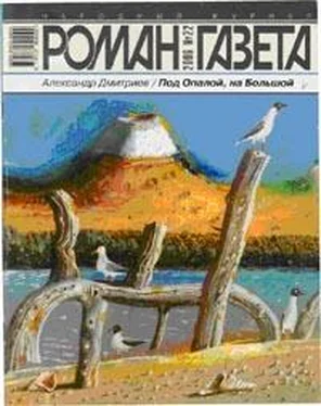 Александр Дмитриев Под Опалой, на Большой обложка книги