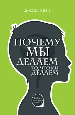 Джоэл Леви Почему мы делаем то, что мы делаем обложка книги