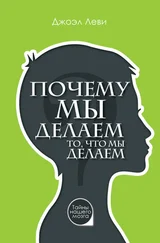 Джоэл Леви - Почему мы делаем то, что мы делаем