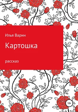 Илья Варин Картошка обложка книги