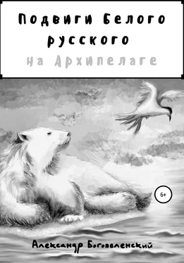 Александр Богоявленский Подвиги Белого русского на Архипелаге обложка книги