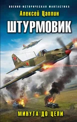 Алексей Цаплин - Штурмовик. Минута до цели