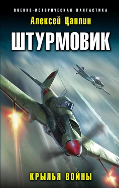 Алексей Цаплин Штурмовик. Крылья войны обложка книги