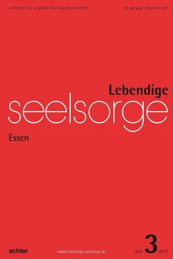 Erich Garhammer Lebendige Seelsorge 3/2017 обложка книги