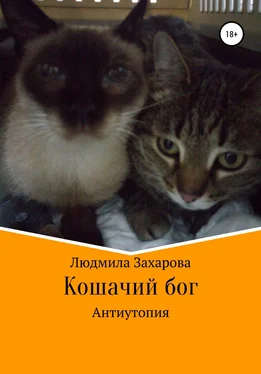 Людмила Захарова Кошачий бог. Антиутопия обложка книги