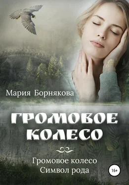 Мария Борнякова Громовое колесо обложка книги