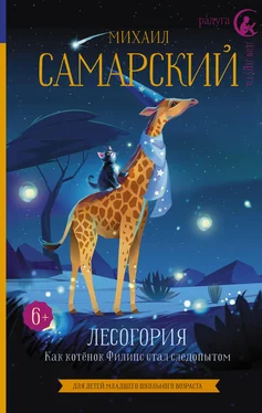 Михаил Самарский Лесогория. Как котёнок Филипс стал следопытом обложка книги