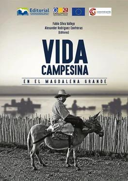 Fabio Silva Vallejo Vida campesina en el Magdalena Grande обложка книги