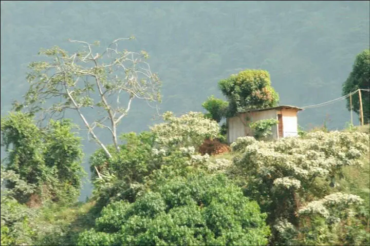 Fuente Archivo Oraloteca 2020 La bonanza marimbera Los corregimientos de - фото 4