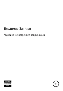 Владимир Зангиев Чужбина не встречает коврижками обложка книги