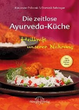 Alexander Pollozek Die zeitlose Ayurveda-Küche обложка книги