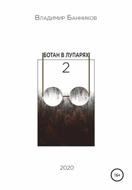 Владимир Банников Ботан в лупарях – 2 обложка книги