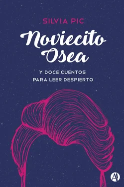 Silvia Pic Noviecito Osea y doce cuentos para leer despierto обложка книги