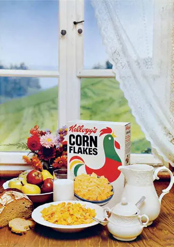 Abb 4 Kelloggs Cornflakes Lebensreformkost nach amerikanischer Art Für - фото 6