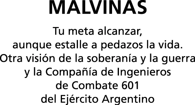 Dunn Roberto José Malvinas tu meta alcanzar aunque estalle a pedazos la vida - фото 2