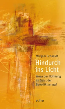 Mirijam Schaeidt Hindurch ins Licht обложка книги