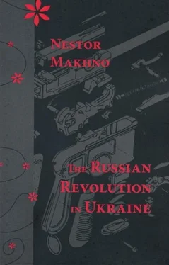 Nestor Makhno The Russian Revolution in Ukraine обложка книги