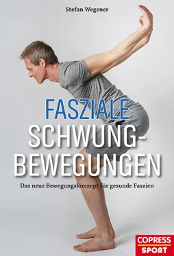 Stefan Wegener Fasziale Schwungbewegungen обложка книги