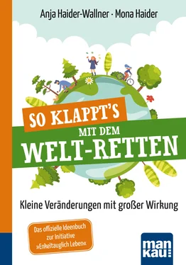 Anja Haider-Wallner So klappt's mit dem Welt-Retten: Kompakt-Ratgeber обложка книги