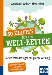 Anja Haider-Wallner - So klappt's mit dem Welt-Retten - Kompakt-Ratgeber