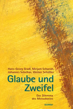 Johannes Schelhas Glaube und Zweifel обложка книги