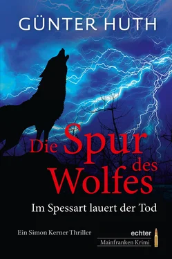 Günter Huth Die Spur des Wolfes обложка книги
