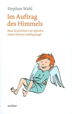 Stephan Wahl Im Auftrag des Himmels обложка книги