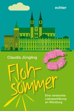 Claudia Jüngling Flohsommer обложка книги
