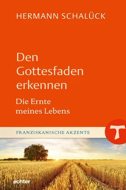 Hermann Schalück Den Gottesfaden erkennen обложка книги