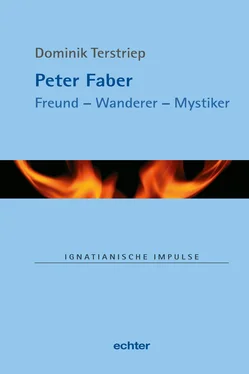 Dominik Terstriep Peter Faber обложка книги