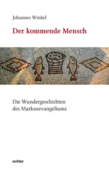 Johannes Winkel Der kommende Mensch обложка книги