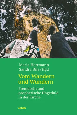 Maria Herrmann Vom Wandern und Wundern обложка книги