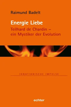 Raimund Badelt Energie Liebe обложка книги
