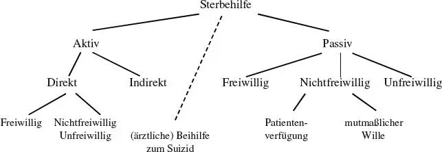 Inmitten der Unterscheidung in aktive und passive Sterbehilfe wurde die - фото 2