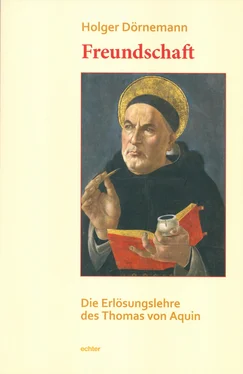 Holger Dörnemann Freundschaft обложка книги