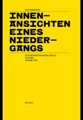 Urs Hofmann - Innenansichten eines Niedergangs