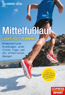 Solarberg Séhel Mittelfußlauf обложка книги