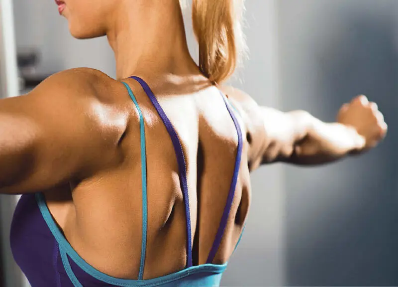 Ihr Rücken und die Muskeln die ihn halten Problemzone Rücken Gehören Sie - фото 3