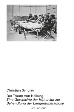 Christian Schürer Der Traum von Heilung обложка книги