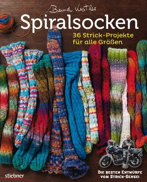 Bernd Kestler Spiralsocken обложка книги