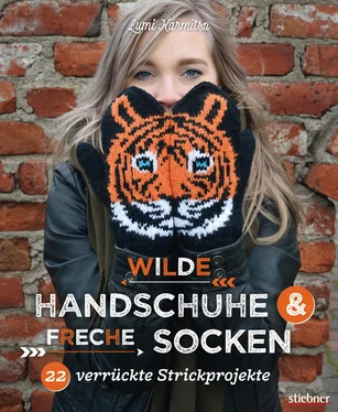 Lumi Karmitsa Wilde Handschuhe & Freche Socken обложка книги