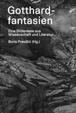 Lars Dietrich Gotthardfantasien обложка книги