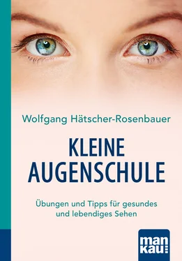 Wolfgang Hätscher-Rosenbauer Kleine Augenschule. Kompakt-Ratgeber обложка книги